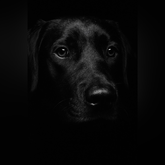 Meet your Posher, Marisa - Picture 12 of 14